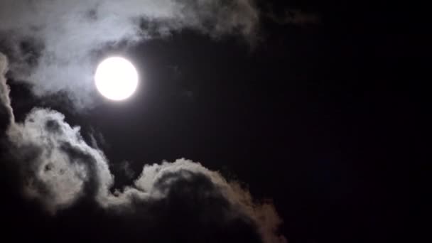 Telihold Rises in Clouds on Sky in Night, View Moon Light, Esti asztrológia, Halloween View — Stock videók