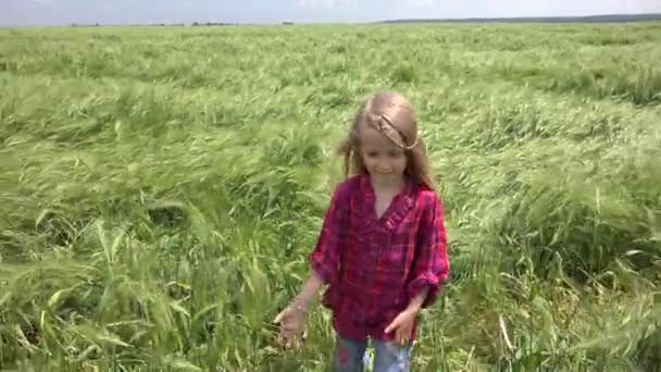 Niño caminando en el trigo, Niño jugando en el campo de agricultura, Niña en la pradera en el campo, Niños al aire libre en la naturaleza — Vídeos de Stock