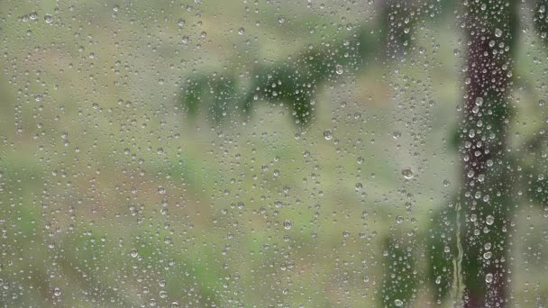 Regen, Regentropfen auf Fenster, Sommer sintflutartiger Regen, Hagelschlag stürmisch, Regentag, Hagel, Eissturm auf Glas, depressives Wetter — Stockvideo