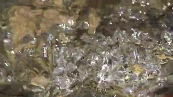 Mountain River, Clear Spring Fresh Water, Transparent Alpine Stream Waves, Crystalline Brook Closeup, Crystal Waterfall kapky — Stock video