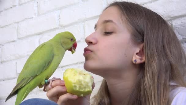 Barnprat papegoja, lycklig unge som leker husdjur, flicka, fågel som äter äppelfrukt, rolig indisk ringnäbbad parakit fåglar burfamilj — Stockvideo