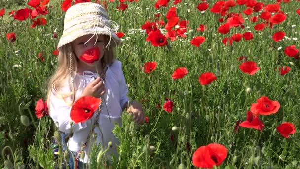 Kid Playing in Poppy Flower Agriculture Field, Child Plays on Meadow, Girl Plays in Prairie, Children Outdoor in Nature — Stock video