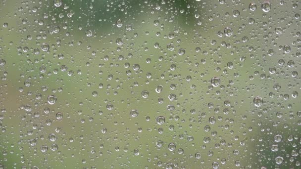 Sommer sintflutartiger Regen, Regen, Regentropfen auf Fenster, Hagelkörner stürmisch, Regentag, Hagel, Eissturm auf Glas, Trauriges Wetter — Stockvideo