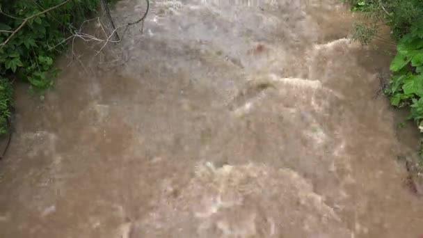 Río Las Montañas Arroyo Fangoso Después Lluvia Tormentosa Inundación Arroyo — Vídeos de Stock