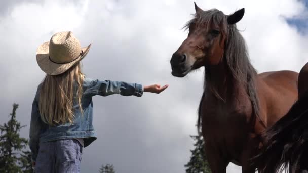 Boerenmeisje weidepaarden, cowboy kind met dieren op weide, Prairie rustiek kind spelen buiten in de bergen — Stockvideo
