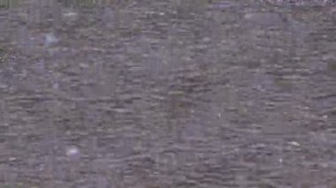 Yağmur, Sağanak, Fırtına, Yaz Yağmurlu Günü, Yerdeki Yağmur Damlaları, Doğadaki Fırtına, Kötü Hava ve Su Baskını,