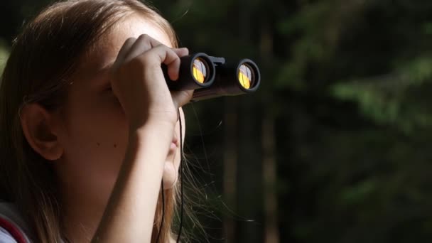 Niña que usa prismáticos en el bosque montañoso, Senderismo para niños turistas en el camping, Senderos alpinos de madera, Niño viajando en viaje, Excursión — Vídeo de stock