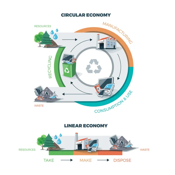 Economia circular e linear — Vetor de Stock