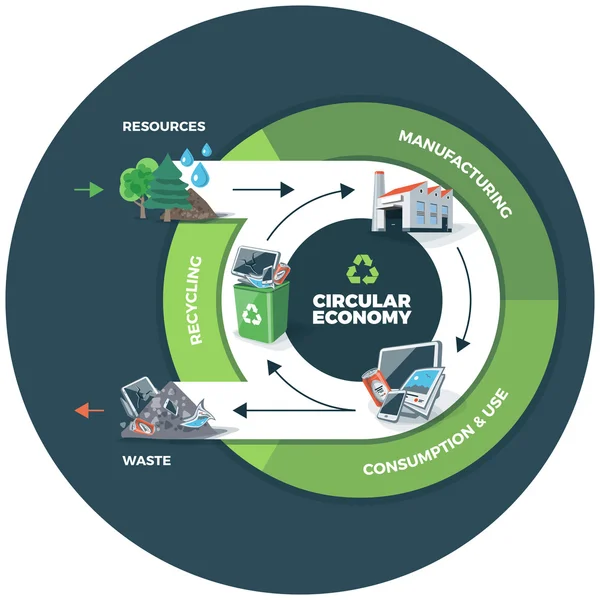 Illustration de l'économie circulaire sur fond de cercle — Image vectorielle