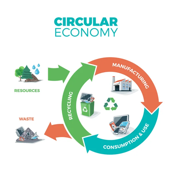 Ilustração da Economia Circular — Vetor de Stock