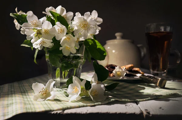 Flores de jasmim frescas em vidro — Fotografia de Stock