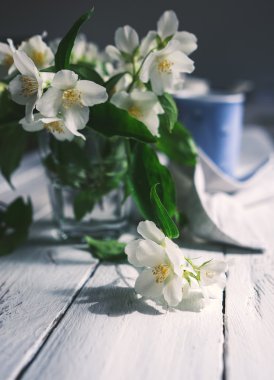 taze Yasemin çiçekleri