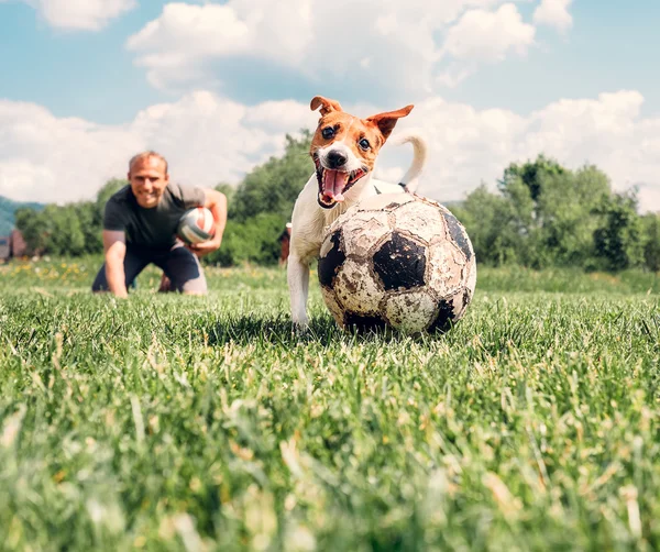 Uomo di giocare con il cane — Foto Stock