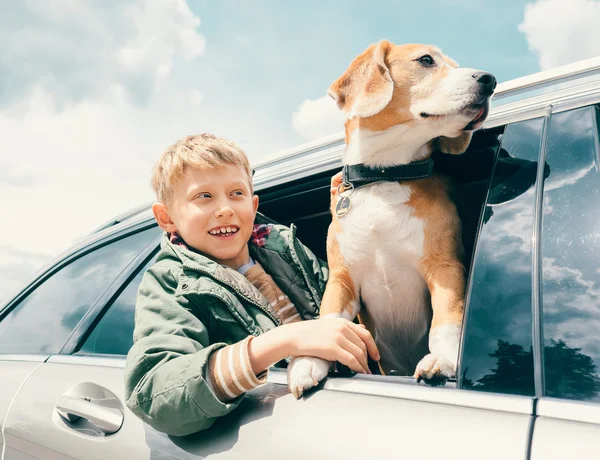 Junge und Hund schaut aus dem Fenster — Stockfoto