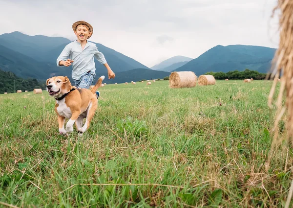 Çocuk köpekle oynuyor. — Stok fotoğraf