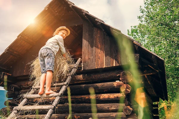 Pojke sätter hö — Stockfoto