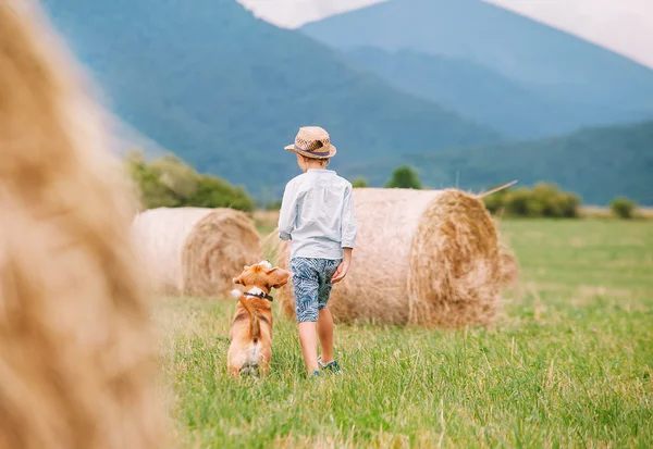 少年は犬を連れて歩いて — ストック写真