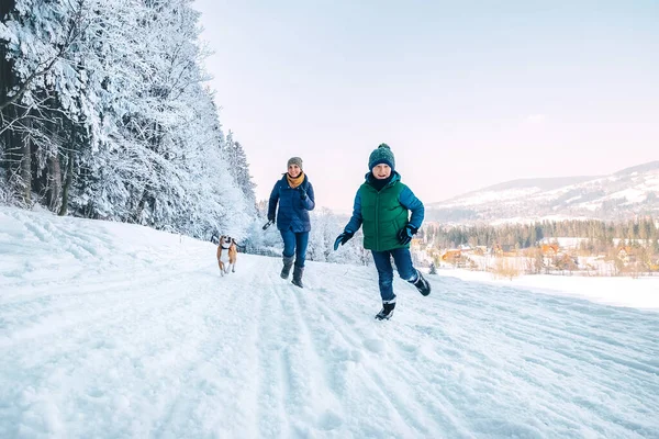 妈妈和儿子在遛狗的时候玩得很开心 他们和他们的小猎犬在雪地的森林里赛跑 母子亲属与女性价值观观念形象 — 图库照片