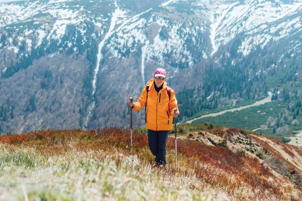 Parlak Turuncu Ceketli Sırt Çantalı Kırmızı Yaban Mersini Tarlasından Yürüyerek — Stok fotoğraf