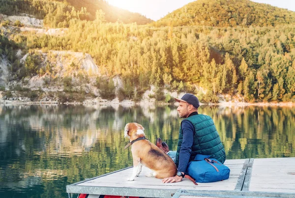 Hombre Dueño Del Perro Amigo Perro Beagle Están Sentados Muelle — Foto de Stock