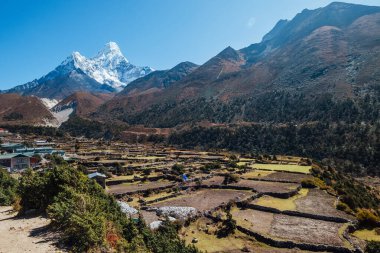 Panboche ya da Pangboche yerleşimi, arka planda Ama Dablam 6812 metre yüksekliğinde küçük bir köy. Ön planda küçük tarım alanları. Nepal 'de Ekim.