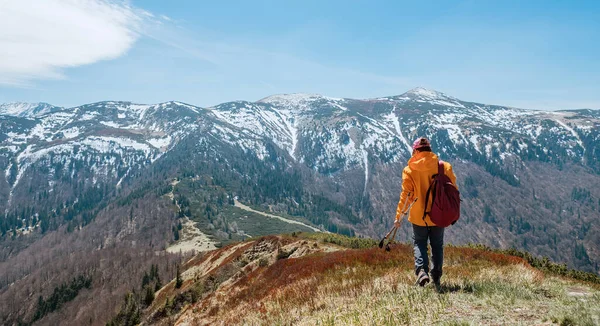 Dressed Bright Orange Jacket Backpacker Walking Blueberry Field Using Trekking — Stock Photo, Image