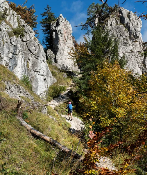 Jonge Wandelaar Backpacker Vrouw Het Wandelpad Met Een Mountai — Stockfoto