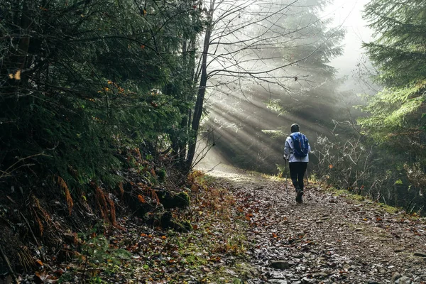 Mulher Com Mochila Ter Uma Caminhada Floresta Usando Postes Trekking — Fotografia de Stock