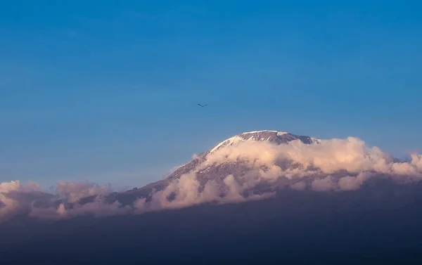 Голубое Утреннее Небо Над Горой Килиманджаро Высотой 5895 Самой Высокой — стоковое фото