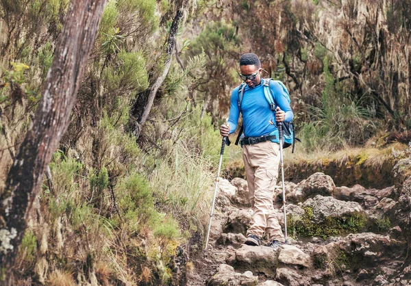 Afroamerikansk Etnicitet Ung Man Solglasögon Med Vandringsstavar Med Vandring Promenad — Stockfoto