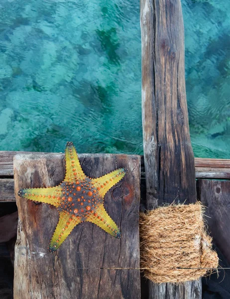 Starfish Lying Old Vintage Traditional Vessel Dhow Boat Shipboard Turquoise — Stock Photo, Image