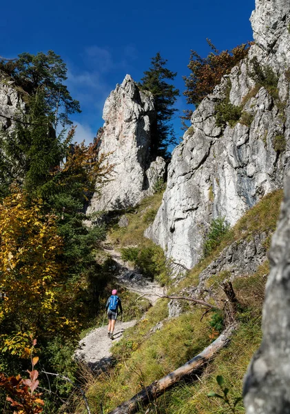 Jonge Wandelaar Backpacker Vrouw Het Wandelpad Met Een Mountai — Stockfoto