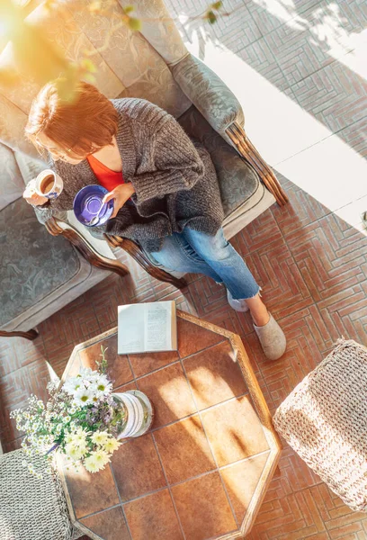 Rahat Bir Koltukta Oturup Kitap Okurken Güneşli Bir Odada Sabah — Stok fotoğraf