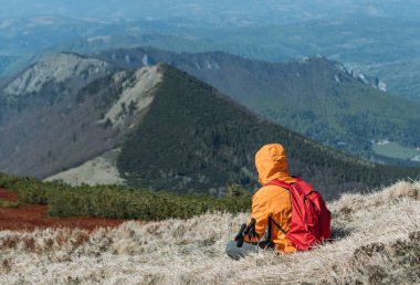 Slovakya 'nın Mala Fatra Dağları' ndaki yeşil vadide yürüyüş direkleri olan parlak turuncu ceketli gezgin. Aktif insanlar ve Avrupa yürüyüş konsepti imajı. 