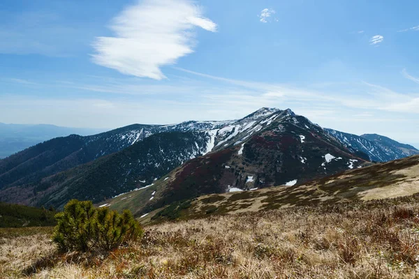 Mal Kriv Kleine Krivan Een Berg Mala Fatra Bergketen Westelijke — Stockfoto