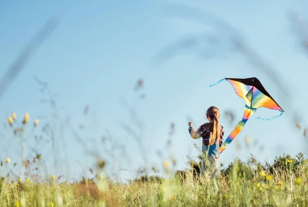 Chica Pelo Largo Con Vuelo Una Cometa Colores Prado Hierba — Foto de Stock