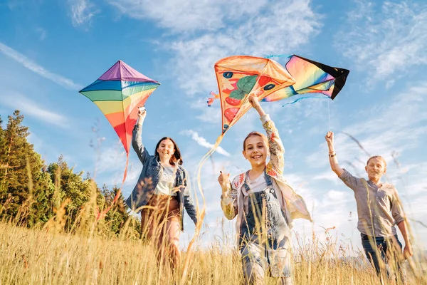 笑顔の女の子と弟の少年は 山のフィールドの高草の牧草地にカラフルな凧を飛んで実行しています 幸せな子供の頃の瞬間や屋外の時間のコンセプトイメージを過ごす — ストック写真