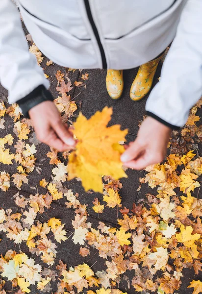 Des Palmiers Féminins Tenant Petit Bouquet Feuilles Érable Jaune Alors — Photo