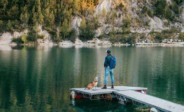 在自然中行走的概念形象 在秋天的时候 主人和他的朋友在山上湖上的木制码头上散步时 一只公狗和一只小猎犬在一起散步 人类和宠物的概念形象 — 图库照片