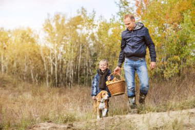 musrrooms seçiciler