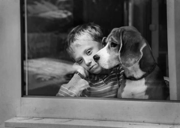 Boy and dog — Stock Photo, Image