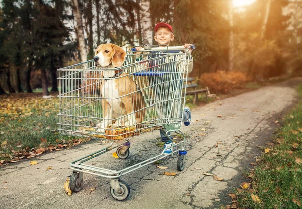 Ragazzo a piedi con cane in sentiero di acquisto — Foto Stock