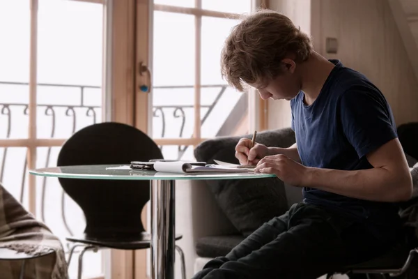 Student doing homework — Stock Photo, Image