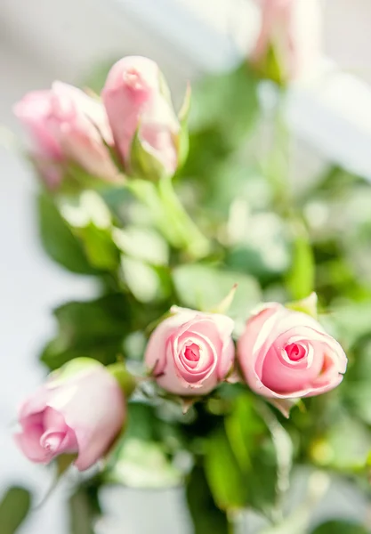 Malé růžové růže kytice — Stock fotografie