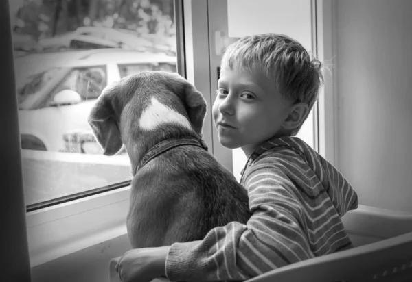 Kleine jongen met zijn hond — Stockfoto