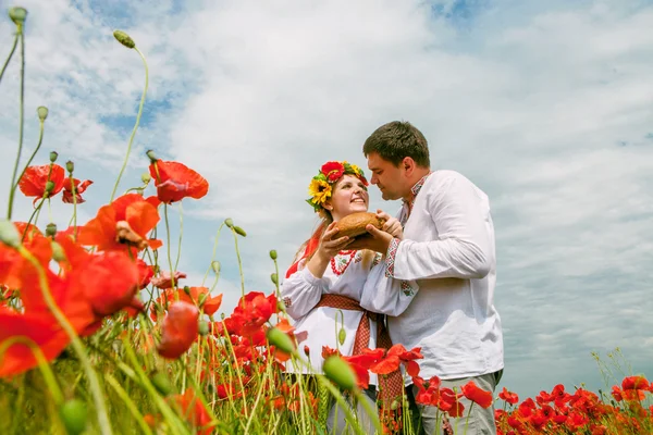 Couple sur le champ de la fleur — Photo