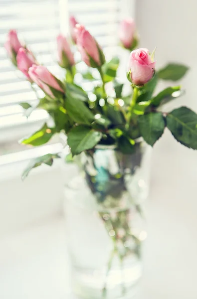 Pink roses on the windowsill — Stock Photo, Image