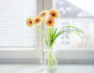 Cam vazo içinde gerbera buketi