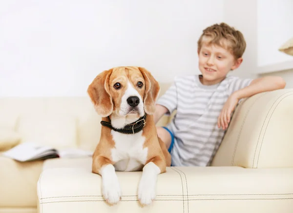 Liten pojke med beagle på soffa — Stockfoto