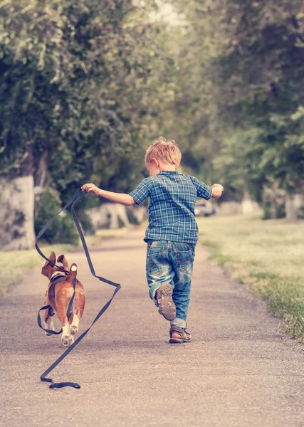 Маленький мальчик, бегущий с гончей — стоковое фото